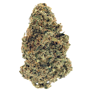 Woody Nelson Warehouse - Premium Smalls (Rotational)