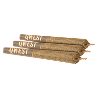 Qwest - Strawberry Guava Pre Roll