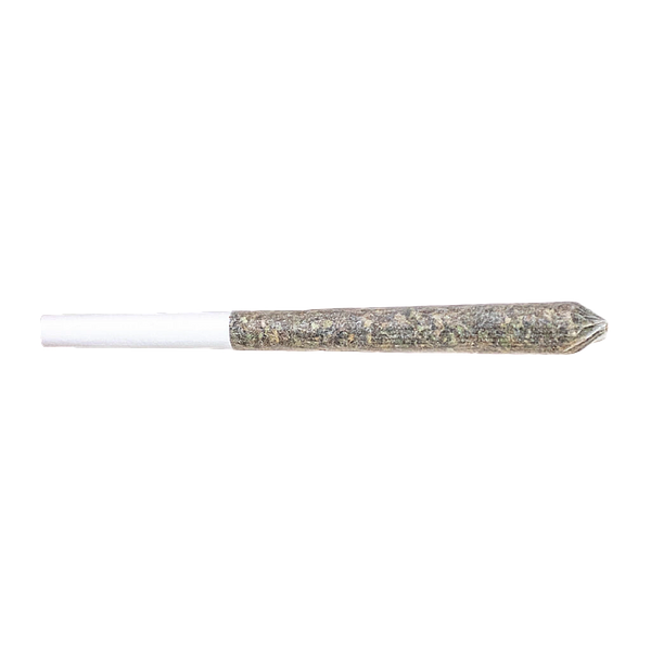 Station House - Blue Dream Pre Roll