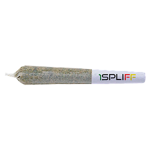 1Spliff - Purple Aya Pre Roll