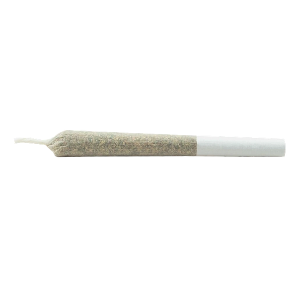 Daily Special - Indica Js Pre Roll