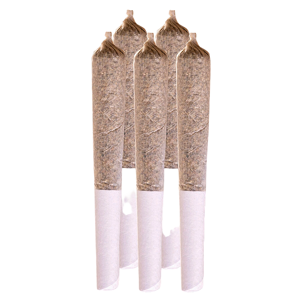 Station House - Amnesia Haze Pre Roll