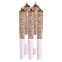 Station House - Amnesia Haze Pre Roll