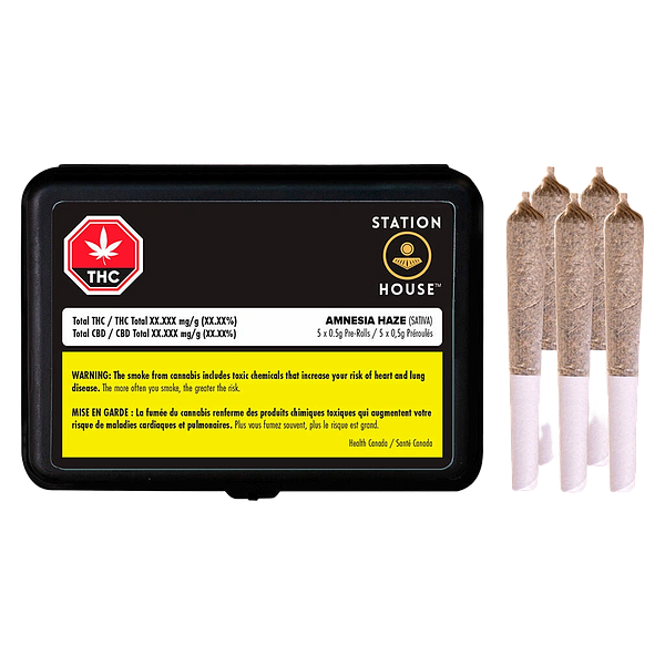Station House - Amnesia Haze Pre Roll