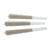 Wagners - Cherry Jam Joints Pre Roll