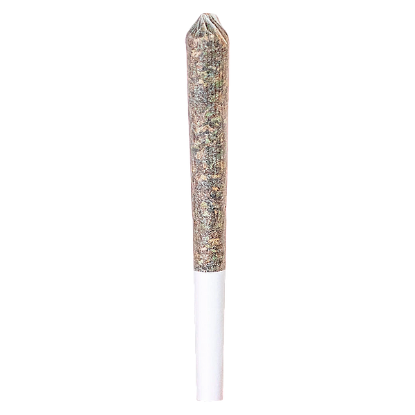 Station House - Gg#4 Pre Roll
