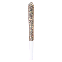 Station House - Gg#4 Pre Roll