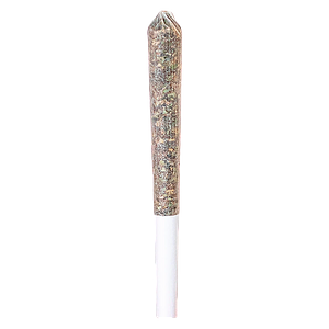 Station House - Gg#4 Pre Roll