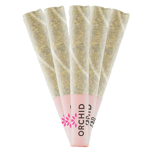 Orchid CBD - Cbd Runtz Pre Roll