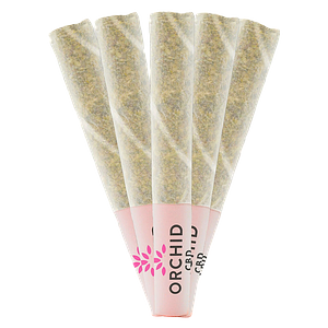Orchid CBD - Cbd Runtz Pre Roll