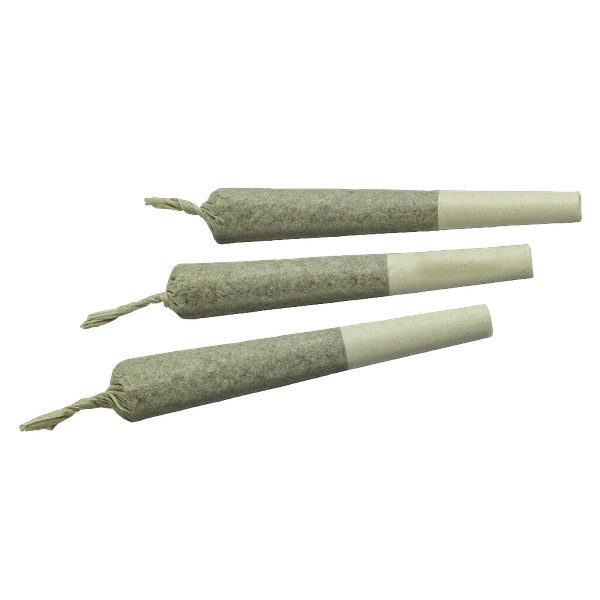 FIGR - Go Steady Black Cherry Punch Pre Roll