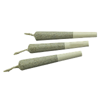 FIGR - Go Steady Black Cherry Punch Pre Roll