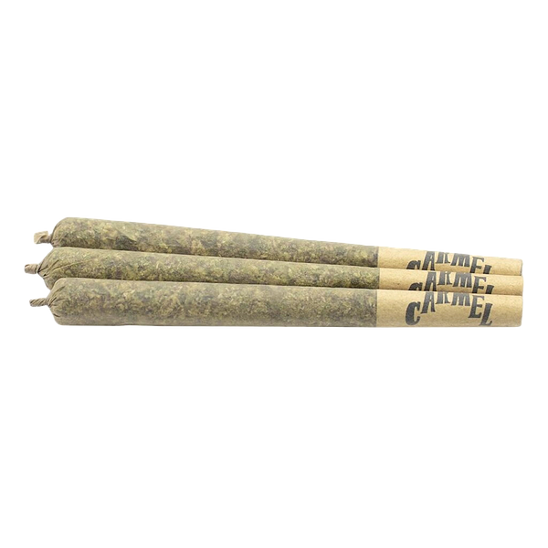 Carmel - Animal Face Pre Roll