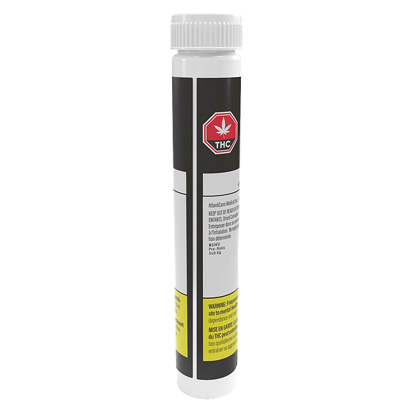 MSIKU - White Wedding Pre Roll