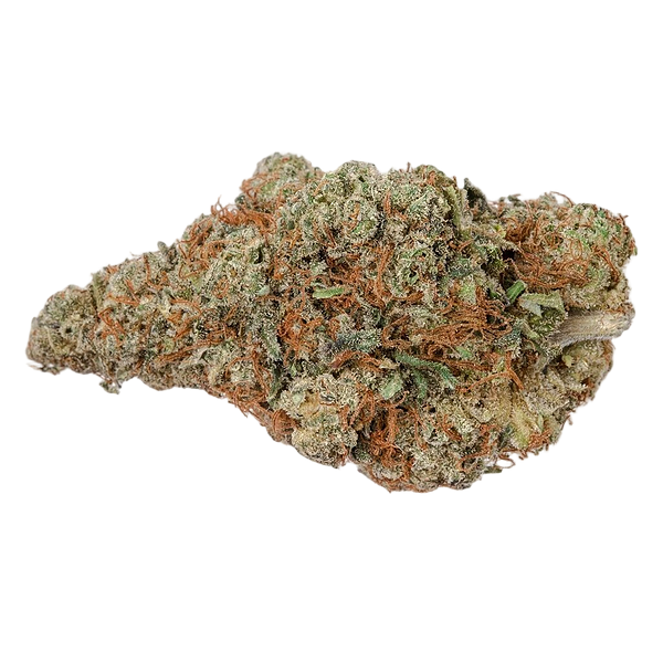 Highly Dutch Organic - Rotterdam Indica