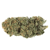 Station House - Ghost Train Haze