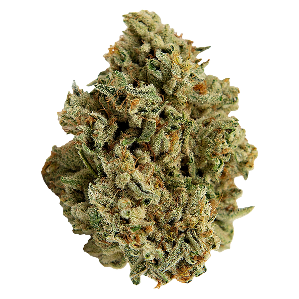 Color Cannabis - Mango Haze