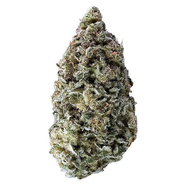 Tantalus Labs - Sky Pilot