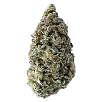 Tantalus Labs - Sky Pilot