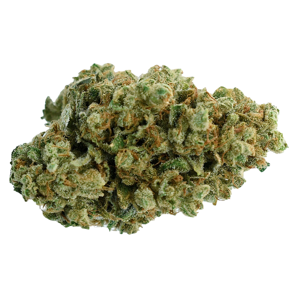 Color Cannabis - Pedro's Sweet Sativa