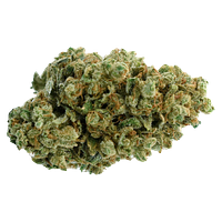 Color Cannabis - Pedro's Sweet Sativa