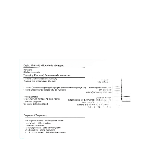 Color Cannabis - Pedro's Sweet Sativa