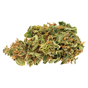 Good Supply - Jean Guy