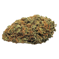 Color Cannabis - Blueberry Seagal