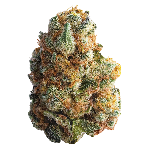 Spinach - Gmo Cookies