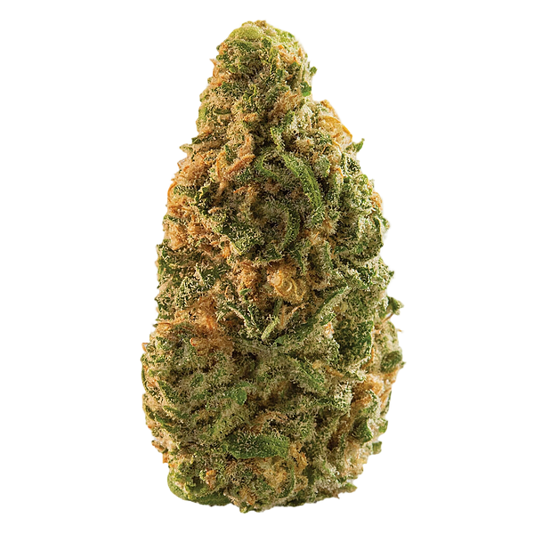 Spinach - Blue Dream