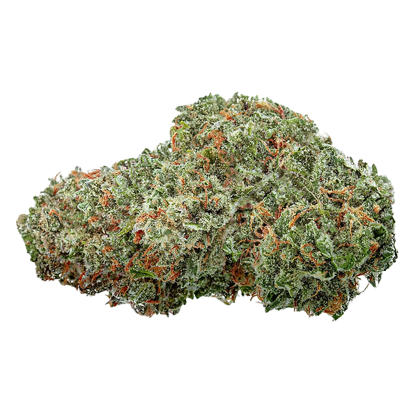 Highly Dutch Organic - Amsterdam Sativa