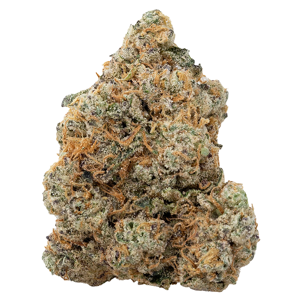 The Loud Plug - Exotic Gas