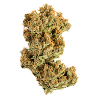 Jonny Chronic - Acapulco Gold