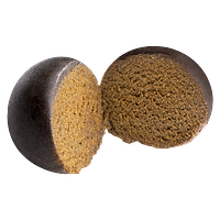 Tremblant Cannabis - Hashish