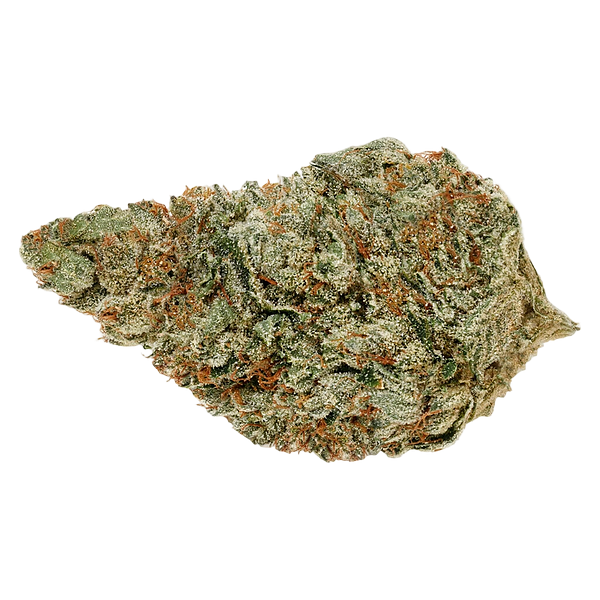 Pure Sunfarms - Jet Fuel Gelato