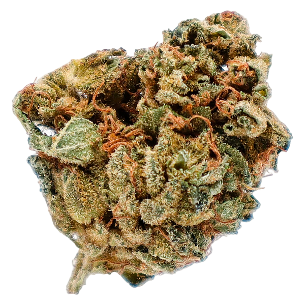 Potluck - Orange Layer Cake