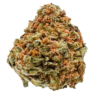 Potluck - Banana Cream