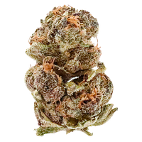 Potluck - Frosted Cherry