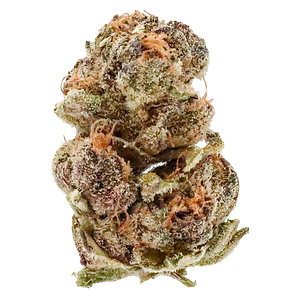 Potluck - Frosted Cherry