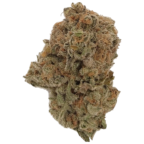 Dykstra Greenhouses - Blue Widow (Lemon Pepper Spice)