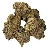 Buzz'd - Big Buzz OG