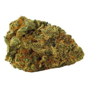 Hunny Pot - Limited Drip