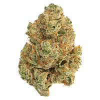 The Loud Plug - Venom Og