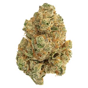 The Loud Plug - Venom Og