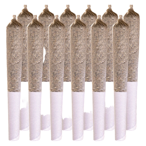 Station House - Ghost Train Haze Pre Rolls