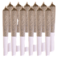 Station House - Ghost Train Haze Pre Rolls