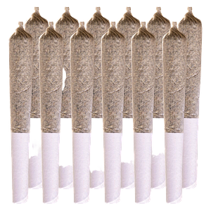 Station House - Ghost Train Haze Pre Rolls