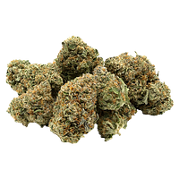 1964 - Organic Comatose