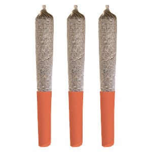 Potluck - Orange Layer Cake Pre Rolls