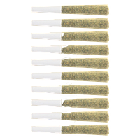 The Loud Plug - Exotic Gas Pre Roll